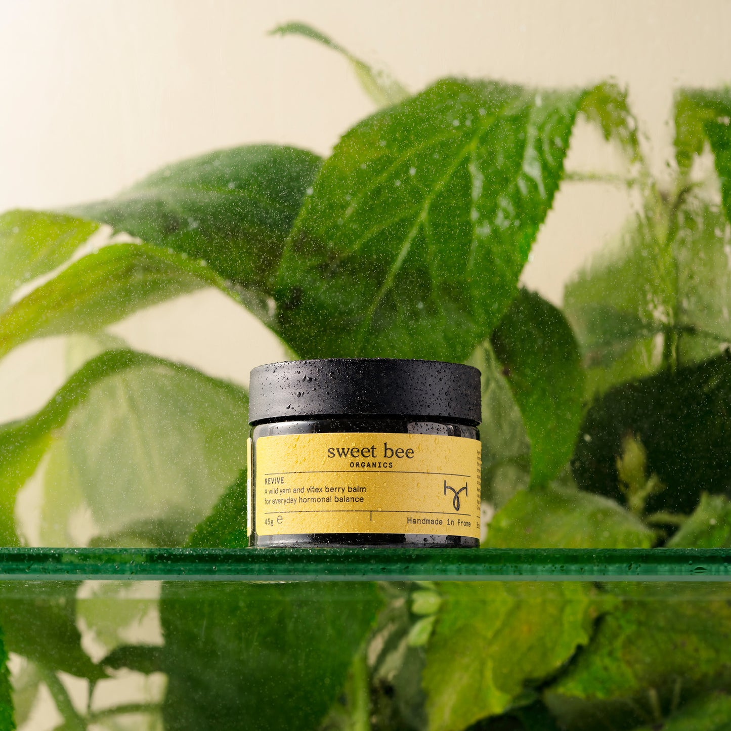 Revive - Organic Wild Yam Balm Sweet Bee Organics USA, Inc Revive - Organic Wild Yam Balm Sweet Bee Organics USA, Inc