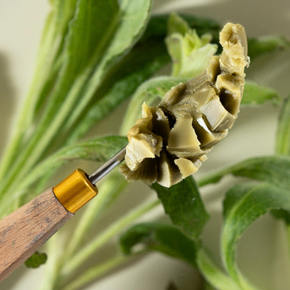 Revive - Organic Wild Yam Balm