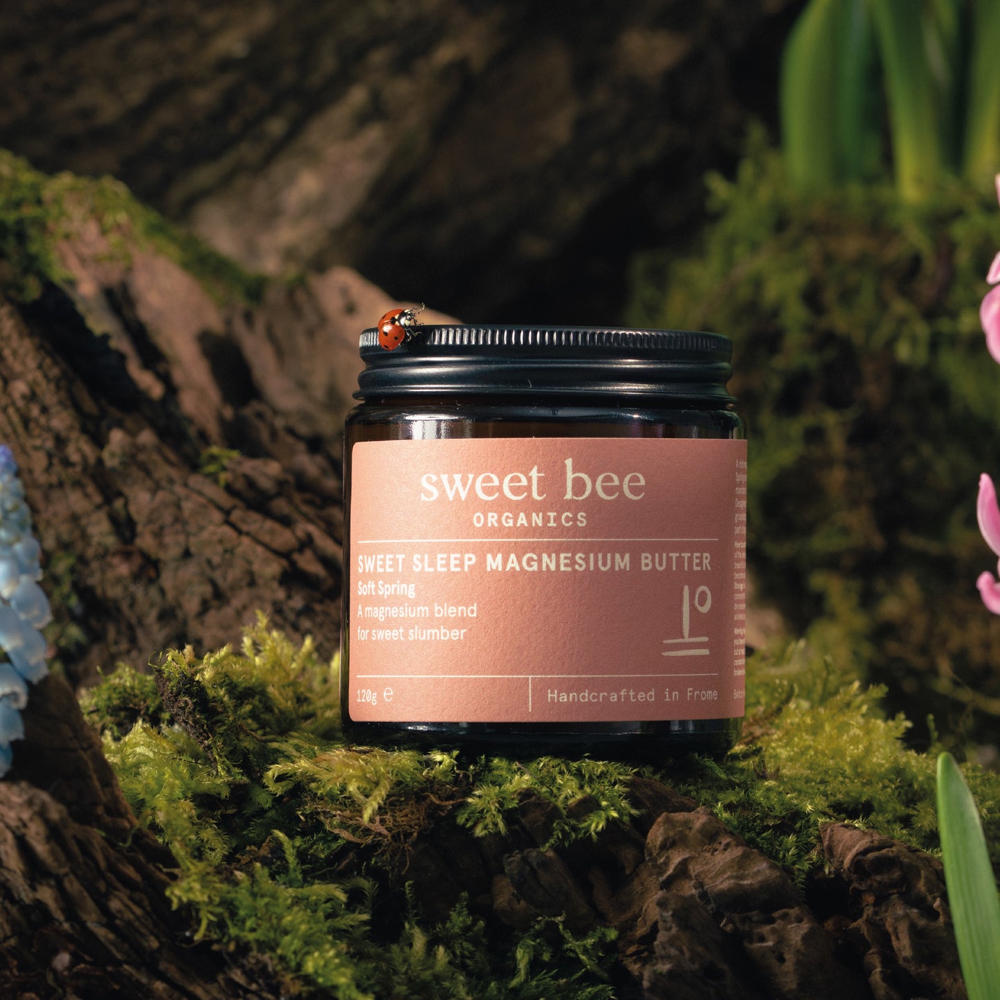 The Soft Spring Collection